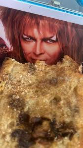 Cranberry cinnamon goat cheese & roasted pecan sourdough loaf. My first  loaf since being in a terrible car accident, so I'm just getting my game  back. Tastes incredible! And the goblin king