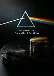 Pink Floyd The Dark Side Of The Moon Vinile See You Pink Floyd Art Pink Floyd Pig Pink Floyd Fan