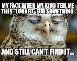 We did not find results for: 28 Memes Of Owls Behaving Like Hoomans Sayingimages Com