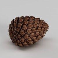 3d Model Render Of A Pine Cone Food Animals Dog Food Recipes 3d Model