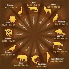 Pin On Zodiac Stuff