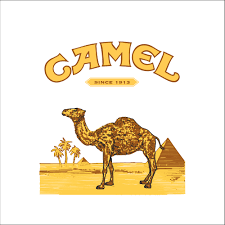 1941 chesterfield cigarette pack, above three photos. Markenlexikon Camel Camel Active