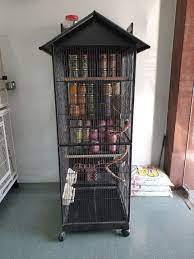 Arvin's mini aviary, dasmariñas, cavite. Bird Cage Mini Aviary Pet Supplies Homes Other Pet Accessories On Carousell