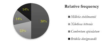 Image result for Bridelia duvigneaudii