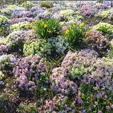 Munich Germany Munchen Deutschland Nymphenburg Botanischer Garten Botanischer Garten Munchen Deutschland Munchen