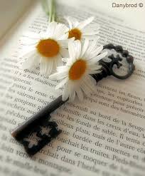 Livro Aberto Tumblr Margaridas Daisy Livro Aberto Livro aberto is a library and children's literacy organization based in maputo, mozambique. livro aberto tumblr margaridas daisy