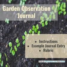 Garden Observation Journal In 2020 Descriptive Writing Observation Journal