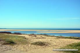 Spannender urlaub am meer (strand) in uruguay. Chihuahua Fkk Strand Uruguay Www Panamericanareise De