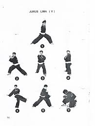 Tutorial kebenaran jurus tunggal baku pencak silat #1. Buku Jurus Psht Lengkap Cara Golden