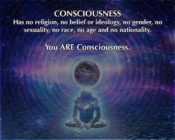 You Are Consciousness Consciousness Quotes Spirituality Consciousness