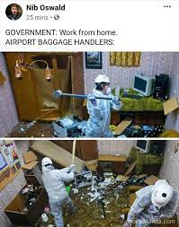 Government Work From Home Jokes Working From Home Funny