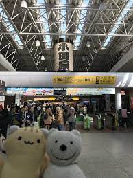 クマ散歩 小田原駅に品行方正なクマ出没 the bear hung around odawara station o クマ 駅 小田原