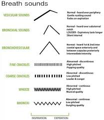 Simplified Breath Sounds Chart For Nurses Nursing