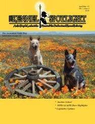 We did not find results for: An American Gentleman The Boston Terrier Kennel Spotlight