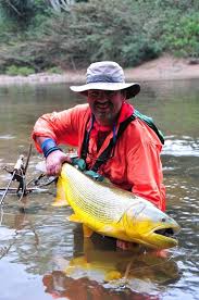 Marcelo Morales S Fly Fishing Picture Of A Golden Dorado Fly Dreamers Fotos De Pesca Pesca Con Moscas Pesca De Truchas Reserva tu estadía en los mejores lodges para la pesca de dorados con mosca, tsimane piracua juramento río dorado esteros del iberá. pinterest