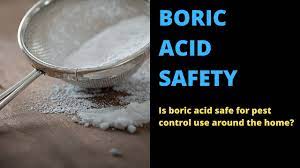 Pesticides are especially hazardous to pets for a variety of reasons. Is Boric Acid Safe For Pest Control Use Around The Home Youtube