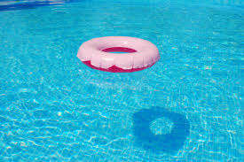 If black algae is in your pool water, it also infiltrated your filter. How To Remove Black Algae From Your Pool Ssd Pools