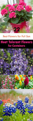 Shop the online burpee© selection today. Pin On Best Of Home And Garden