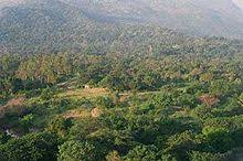 List Of Protected Areas Of Kerala Wikipedia The peppara wildlife sanctuary is a wildlife sanctuary in thiruvananthapuram district of kerala, india. list of protected areas of kerala
