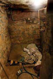 It also helps to inhibit future mold growth. 8 Kids In Custody In Philly Basement Abuse Case