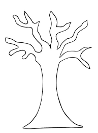 The cotton tree is a tropical tree belonging to the malvaceae family and malvales order. Pin On Tree