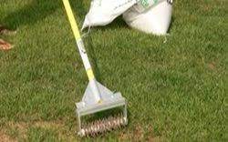 Check spelling or type a new query. What Is Overseeding How When To Overseed Your Lawn Trugreen