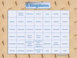 6 Kingdoms Chart