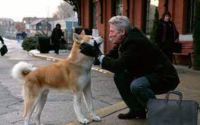 A dog's tale is the story of great love and respect between a college professor and the puppy he rescues on a snowy night. Hachiko Eine Wunderbare Freundschaft Film 2009 Trailer Kritik Kino De