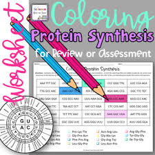 Transcription translation dna coloring transc and transl dna and protein worksheet with answers color code ach dna coloring transcription and dna coloring in dna coloring transcription and translation answer key children's coloring pages on the internet provide a larger assortment of. Coloring Protein Synthesis Worksheet For Review Or Assessment Tpt