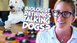 Scent Work & Nosework Containers