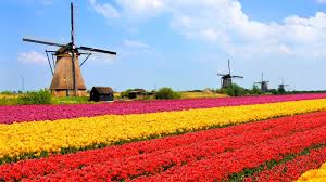 Dé publiekswebsite van het ministerie van buitenlandse zaken. Netherlands