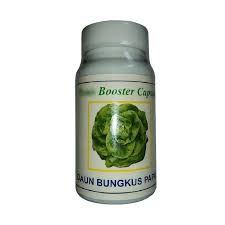 Hasil gambar untuk minyak daun bungkus