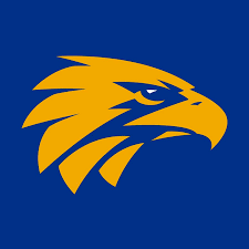 Hosted by oscar allen, hamish brayshaw and tim gossage discussing all thing eagles relevant within the afl. West Coast Eagles Football Club Youtube