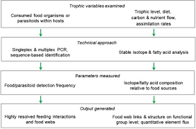 We are a lab and field based research group. Empirically Characterising Trophic Networks What Emerging Dna Based Methods Stable Isotope And Fatty Acid Analyses Can Offer Sciencedirect