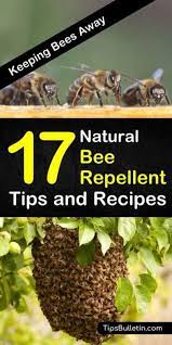If you want to keep honeybees and bumblebees out of the yard or your house, burn citronella candles. Pin On Plants That Repell Insects