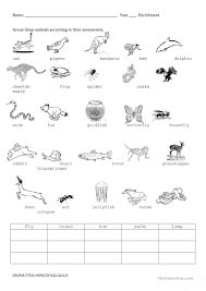 Animal Movements English Esl Worksheets For Distance Learning And Physical Classrooms