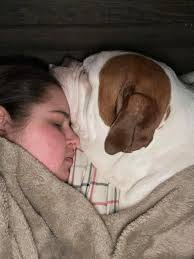 A big yes if your pet is waiting for you when you get home from work.