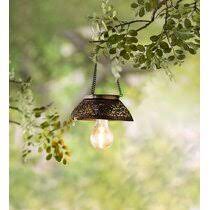 200led hanging sphere lights, battery operated starburst lights, 8 modes dimmable remote control, waterproof fairy lights, copper wire lights, indoors outdoors christmas decoration (warm white) 3.9 out of 5 stars 2,018 Battery Operated Outdoor Hanging Lights You Ll Love In 2021 Wayfair