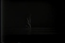 Vera's Bach duet (performance)