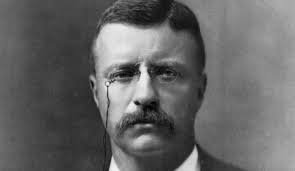 Theodore Roosevelt Presidency, Term, Accomplishments, Timeline, APUSH