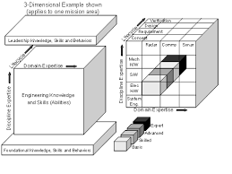 Roles And Competencies Sebok