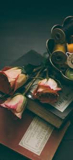 The great collection of d rose wallpaper iphone for desktop, laptop and mobiles. Books Pink Roses Thread 1242x2688 Iphone 11 Pro Xs Max Wallpaper Background Picture Image