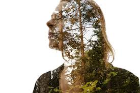 Christoffer relander photography, raseborg, finland. April 2017 Fea Brain Nature 01 Christoffer Relander 1024x683 Maxxit Systems Inc
