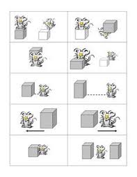 Les Prepositions En Neerlandais Recherche Google Wiskunde