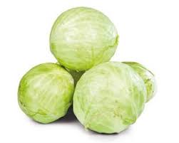 Image result for hlávková kapusta