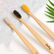 Eco Friendly Bamboo Handle Tooth Brush With Bamboo Charcoal Bristles In 2020 Brushing Teeth Teeth Cleaning Bamboo Toothbrush