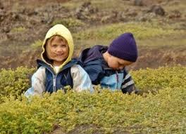 Here are eight fun and exciting things to do when camping with family! Things To Do With Kids Archives Camping In Iceland