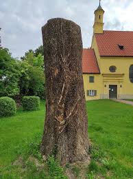 If you book with tripadvisor, you can cancel at least 24 hours before the start date of your tour for a full refund. Bald Fliegen Die Spane Bei St Stephan Holzkunst Stefan Bauer