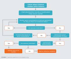 Treatment Plans For Routine And Refractory Canine Epilepsy