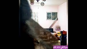 دوربین مخفی‌ سکس زن همسایه با شوهر همسایه - سایت سکسی‌ قمبل | کلیپ سکسی‌  برای دانلود و تماشا